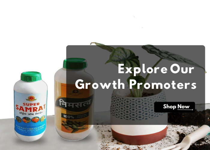 Explore Our Growth Promoters (2)