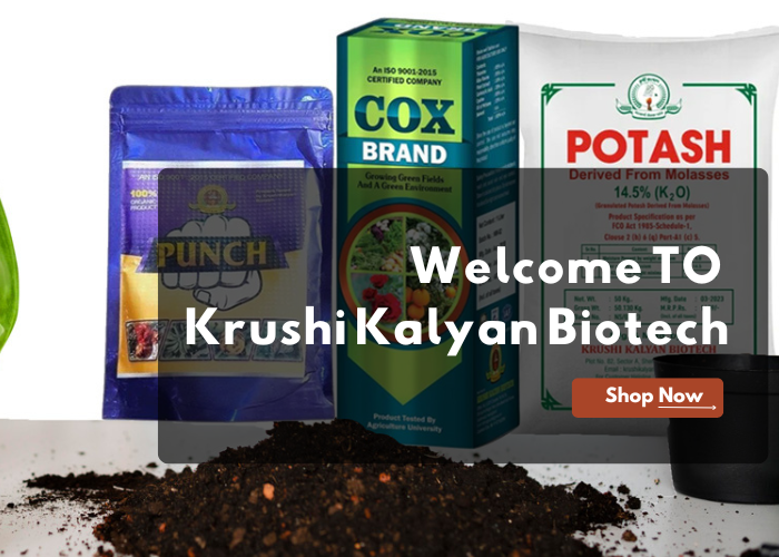 Explore Our Growth Promoters (3)